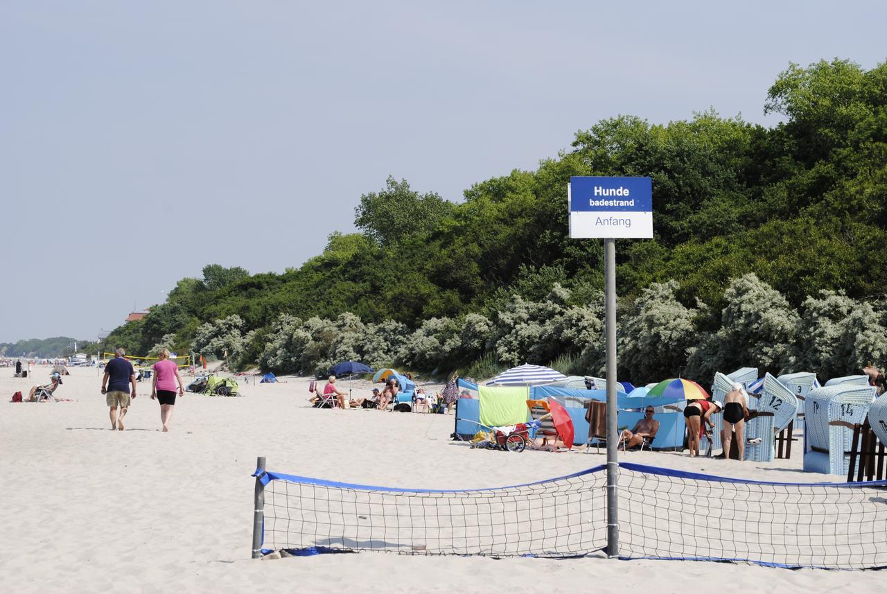 Fewo Schwalbennest Am Meer-Exklusiv-Eigener Strandzugang Kuehlungsborn Ngoại thất bức ảnh